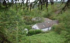 Marthrown Of Mabie Albergue Dumfries Exterior photo