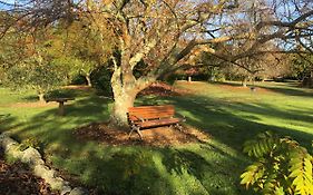 Kerikeri Garden Homestead Exterior photo