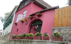 Hotel Pensiunea Cristina Si Pavel Sighişoara Exterior photo