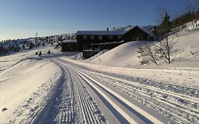 Apartamento Sulseter Fjellstugu Vinstra Exterior photo