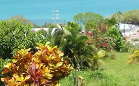 B&B Plage Des Raisiniers Trinite  Exterior photo