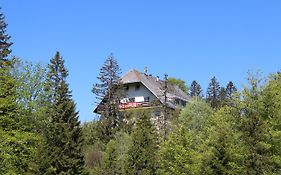 Boutique Hotel Kokoschinski Feldberg  Exterior photo