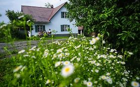 Ferienhaus Vogeljager Villa Leutschach Exterior photo