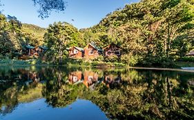 Sueños del Bosque Lodge San Gerardo de Dota Exterior photo