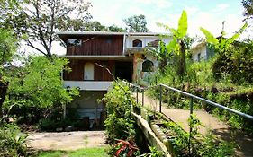 Casa Alquimia Hotel Monteverde Exterior photo