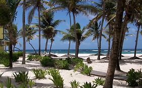 Hibiscus Beach Resort Christiansted Exterior photo