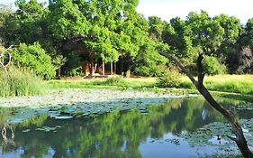 Back Of Beyond - Wild Haven Villa Sigiriya Exterior photo