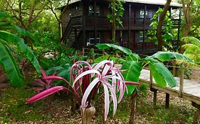 Upachaya Eco-Lodge & Wellness Resort Mud Hole Exterior photo