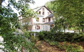 Hotel Auberge Des Mésanges Meisenthal Exterior photo