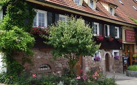 Gutshof-Hotel Waldknechtshof Baiersbronn Exterior photo