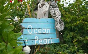 Ocean Pearl Bonefishing Resort High Rock Exterior photo