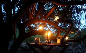 Akein Jungle Resort - Sigiriya Habarana Exterior photo