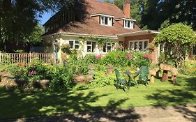 Kingswood Cottage Lyndhurst Exterior photo