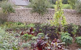 Chambres D'Hotes La Belle Taille Lassay-les-Chateaux Exterior photo