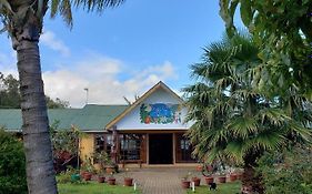 Cabañas Rapa Nui Orito Villa Hanga Roa Exterior photo