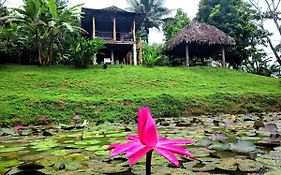 Bluff Hidden Paradise Hostal Bocas del Toro Exterior photo