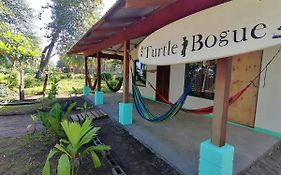 Casa turtle Bogue Hotel Tortuguero Exterior photo