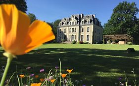 Chateau Des Essards Avec Piscine Et Jacuzzi Bed and Breakfast Langeais Exterior photo