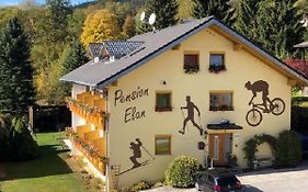 Hotel Pension Elan Bayerisch Eisenstein Exterior photo