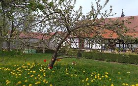 Hotel Pension Toepferhof Bad Berka Exterior photo