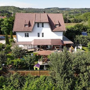 Podgoria Guesthouse- Camere De Inchiriat Oradea Exterior photo