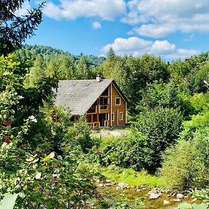 Mysynevyr - Будинок У Серці Карпат Villa Exterior photo