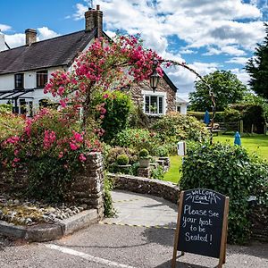 The Greyhound Inn And Hotel Usk Exterior photo