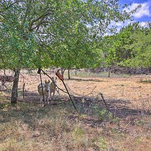 Apartamento Cozy Texas Retreat With Patio, Grill And Fire Pit! Mountain Home Exterior photo