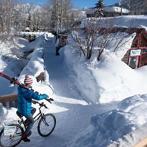 Comfortable 1 Bedroom Condo - Slopeside condo Crested Butte Exterior photo