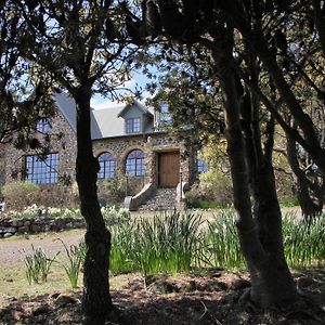 The Great House Bnb Bed and Breakfast Buckland Exterior photo