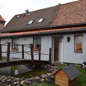 Bright Apartment In The Harz Mountains Meisdorf Exterior photo