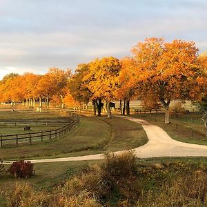 Haras Du Vignault Le Bucher Bed and Breakfast Salbris Exterior photo