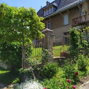 La Fée des Eaux Bed and Breakfast Vernaison Exterior photo