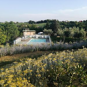 Il Gelso Country House Bed and Breakfast Castorano  Exterior photo