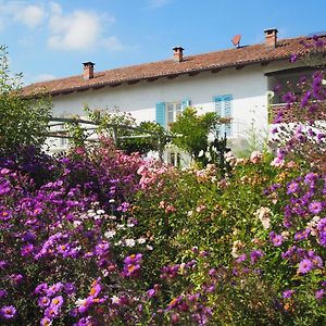 Casa del Roseto Bed and Breakfast Belveglio Exterior photo