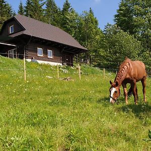 Panorama Ranc Villa Jezici Exterior photo