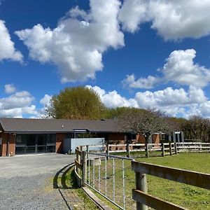 Unique Equestrian Lifestyle Bed and Breakfast Tamahere Exterior photo