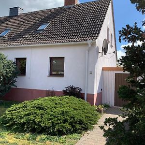 Gemütliches Ferienhaus mit Garten Villa Oranienbaum-Woerlitz Exterior photo