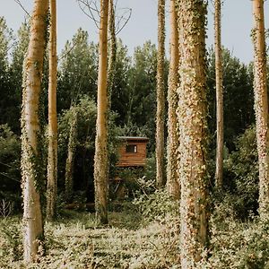 Apartamento Bonita cabaña de los arboles en La Rioja , Durmiendo entre arboles Anguciana Exterior photo