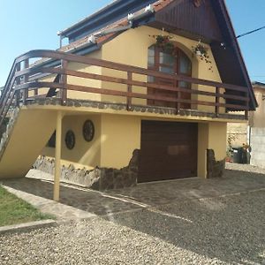 Casa Vlasea Albesti Sighisoara Bed and Breakfast Exterior photo