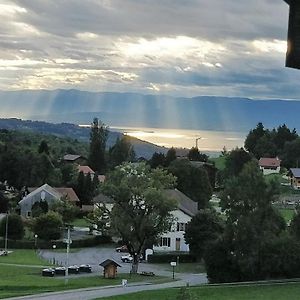Balcony Of Lake Geneva Thollon-les-Memises Exterior photo