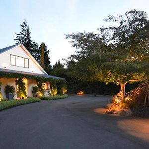 Olive Rabbit - Boutique Bed & Breakfast Bed and Breakfast Turangi Exterior photo