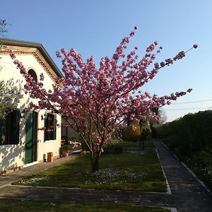 Hotel Casa Pianta Cavallino-Treporti Exterior photo