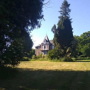 Les Gîtes du Château de Passillé Parigné Exterior photo