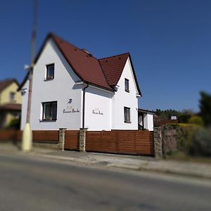 Hotel Penzion Burda Sepekov Exterior photo