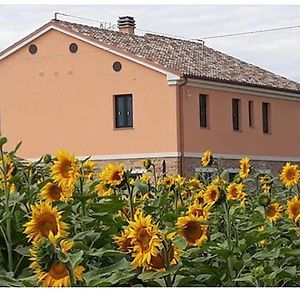 La Dolce Vita Hostal Porto Recanati Exterior photo