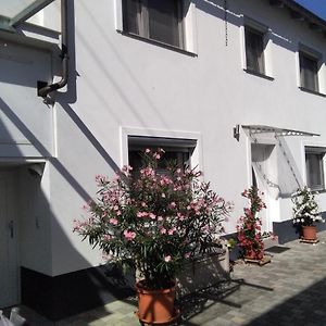 Apartamento Ferienhaus Fam. Bisgen Niederkirchen bei Deidesheim Exterior photo