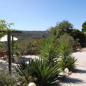 A Perfect Villa With Pool Terrace And Garden Alcobaça Exterior photo