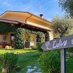 L' Ulivo Bed&Breakfast Bed and Breakfast Teramo Exterior photo