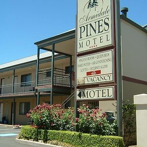 Armidale Pines Motel Exterior photo